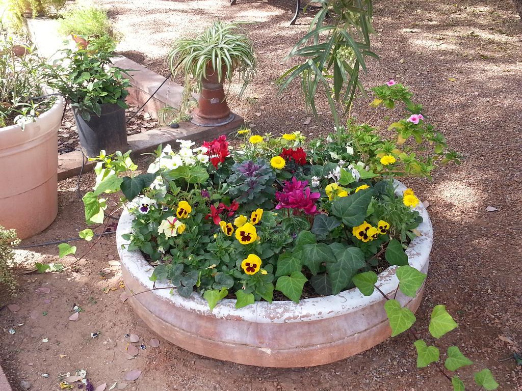 Sam Hughes Inn B&B Tucson Exterior foto